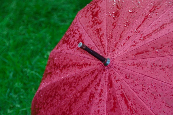 Grand Parapluie Rouge Avec Gouttes Eau Après Pluie — Photo