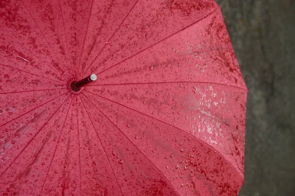 Grand Parapluie Rouge Avec Gouttes Eau Après Pluie — Photo
