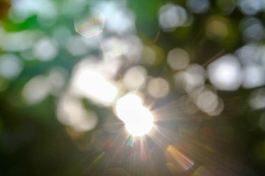 Arkaplanda yeşil elma yapraklarının üzerine çoklu renkli güneş ışınları.