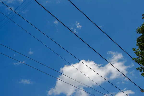 極のケーブルと電源ライン — ストック写真