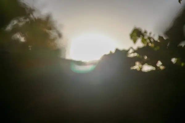 Разноцветные Солнечные Лучи Дефокусе Фоне Зеленых Яблочных Листьев — стоковое фото