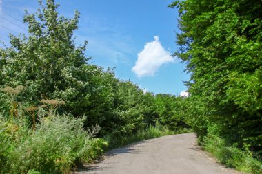 Güzel bulutlar ve açık bir yaz gününde gökyüzü