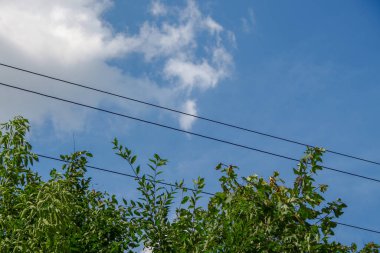 Güzel bulutlar ve açık bir yaz gününde gökyüzü