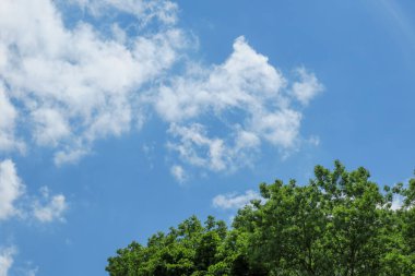 Güzel mavi yaz gökyüzü ve güneşli bir günde beyaz bulutlar