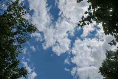 Mavi gökyüzü ve gri bulutlar güzel havada ormandaki ağaçların arka planında