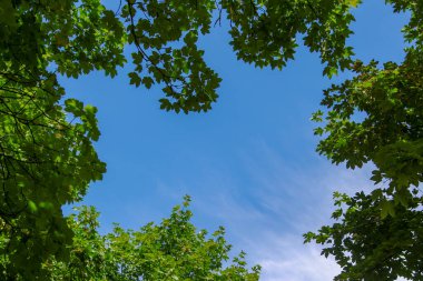 Ağustosta beyaz bulutlar üzerinde güzel mavi gökyüzü