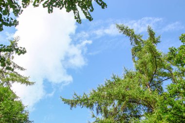 Ağustosta beyaz bulutlar üzerinde güzel mavi gökyüzü