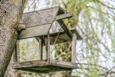 Parktaki ahşap kuş yemi.