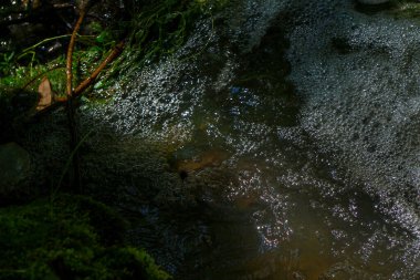Nehre akan bir parkta bir su deresi.