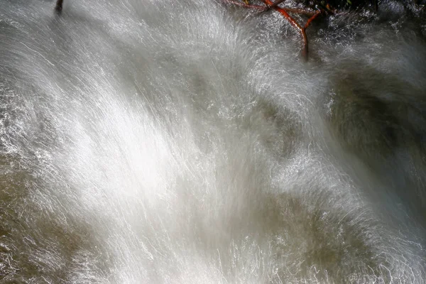 Een Waterstroom Een Park Die Een Rivier Stroomt — Stockfoto