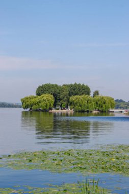 Baraj göleti ve parktaki ağaçlar
