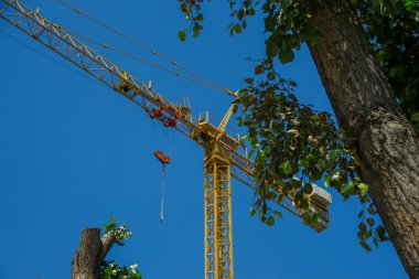 Bir inşaat sahasında sarı Çin inşaat vinci