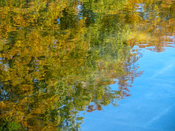 Reflexão Das Folhas Árvores Água Setembro — Fotografia de Stock