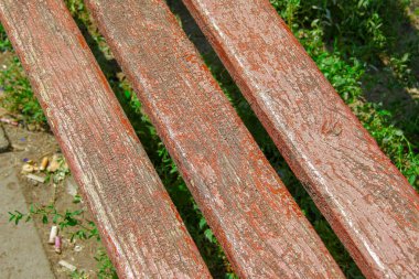 Tatilciler için parktaki ahşap bank