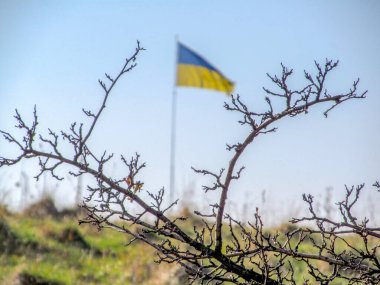 Ternopil bölgesindeki Gontova Dağı 'nda Ukrayna bayrağı