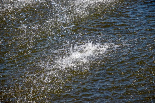 Wasserstrahlen Einem Stadtbrunnen See August — Stockfoto