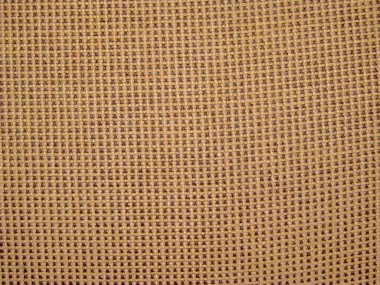 Sarı-siyah takanina arka plan için bir hücrede