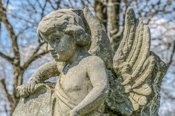 Památník Starého Kamenného Anděla Hřbitově — Stock fotografie