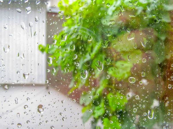 窗玻璃上的雨滴和绿叶 — 图库照片
