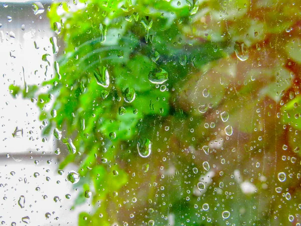 Gotas Chuva Vidro Janela Folhas Verdes — Fotografia de Stock
