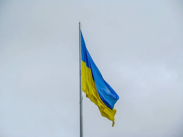 Жовтий Синій Прапор України Флагштоку Парку Хмарну Погоду — стокове фото