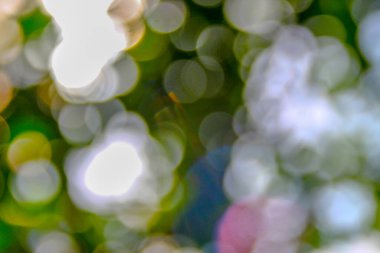 Yeşil yapraklardan oluşan arkaplandaki güneş ışınlarının odak noktasını kaybediyor.