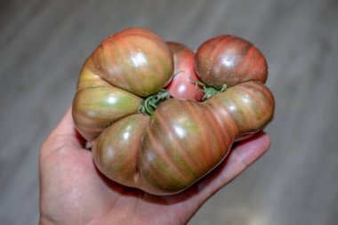 Ağustosta elinde kocaman bir domates