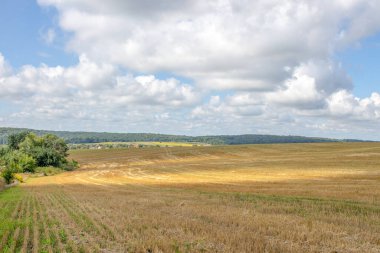 Güzel tarla ve gökyüzü manzarası