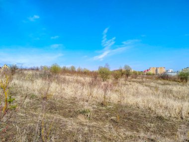 Ağustosta tarlada güzel bir manzara