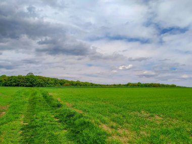Ağustosta tarlada güzel bir manzara