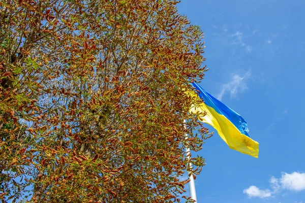 Žlutá Modrá Vlajka Ukrajiny Pozadí Oblohy — Stock fotografie