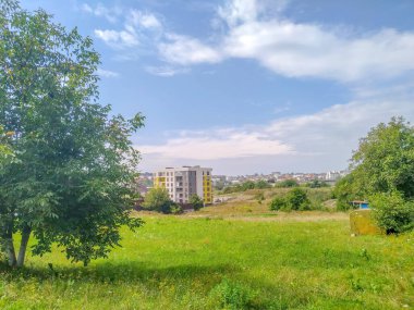 Ağustosta tarlada güzel bir manzara