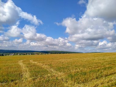 Yakın zamanda hasat edilen buğdaylı sarı tarla.
