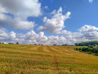 Yakın zamanda hasat edilen buğdaylı sarı tarla.