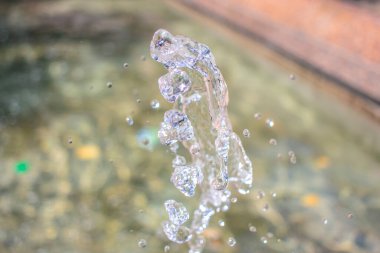 Parktaki bir fıskiyede su fışkırıyor.