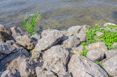 Gölette suyun yanında büyük taşlar var.