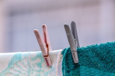 Çiftlikteki danteller için toka.