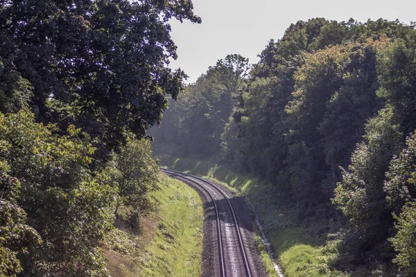 Banliyödeki Ormanda Tren Yolu Raylar — Stok fotoğraf
