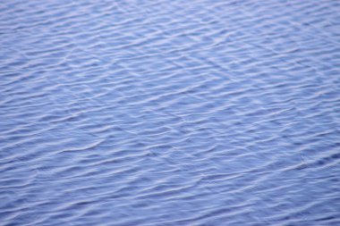 Eylül 'de göletteki suyun üzerindeki dalgaların dokusu