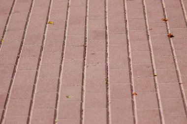 Arkaplan için renkli beton kaldırım dokusu