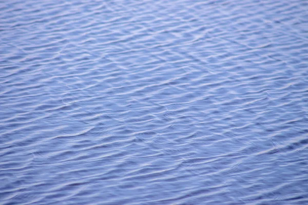 Textura Ondas Água Lagoa Setembro — Fotografia de Stock
