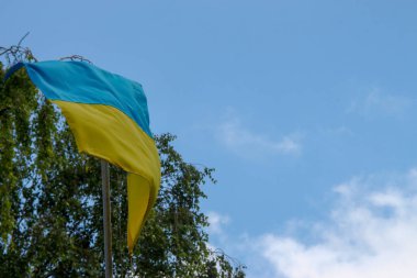 Ukrayna 'nın sarı ve mavi bayrağı rüzgarda dalgalanıyor.