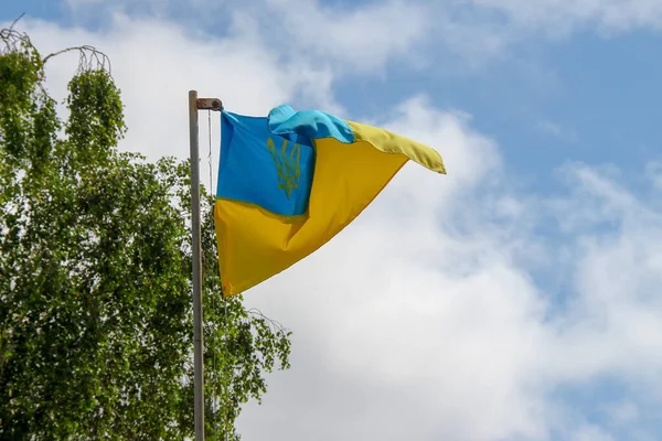 Жовтий Синій Прапор України Віє Вітрі — стокове фото