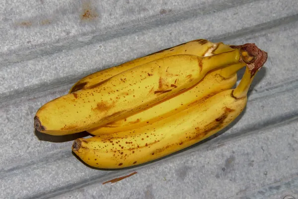 Knitting Yellow Delicious Bananas — Stock Photo, Image