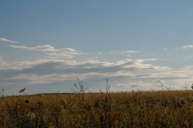 Ağustosta gün batımında güzel bir gökyüzü