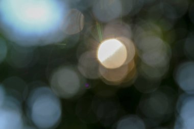 Yapraklardan oluşan bir arka plan üzerine odaklı olmayan renkli güneş ışınları