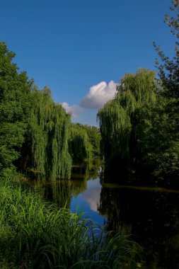 Ağustosta parkta güzel bir manzara. Verbolis, nehir ve ağaçlar