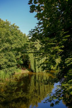 Ağustosta parkın güzel manzarası