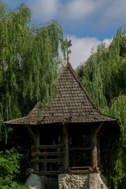 Ağustosta parkın güzel manzarası