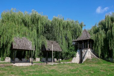Ağustosta parkın güzel manzarası